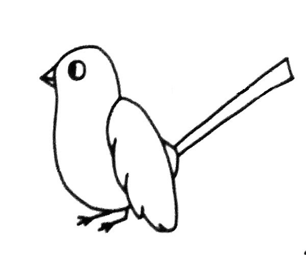 6款关于喜鹊的简笔画大全