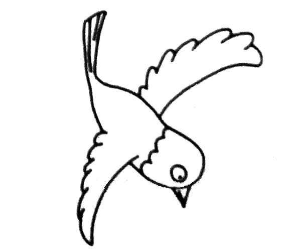 6款关于喜鹊的简笔画大全