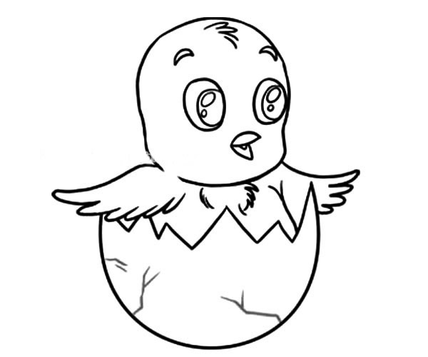破壳而出的小鸡简笔画