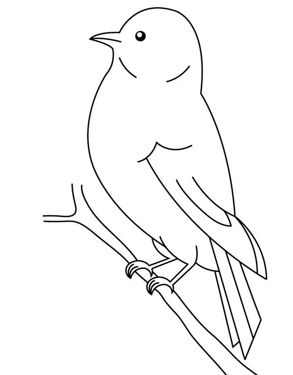 站在树枝上的小鸟简笔画