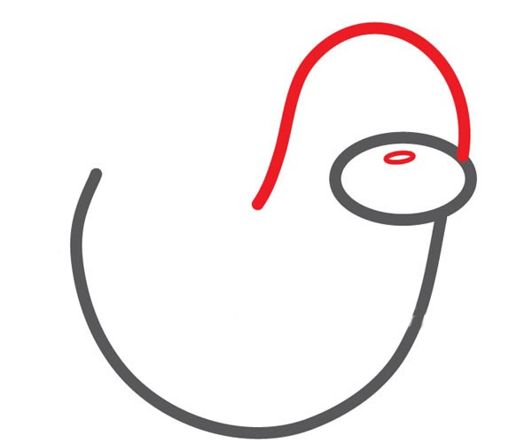 一步步教你画可爱的海豹