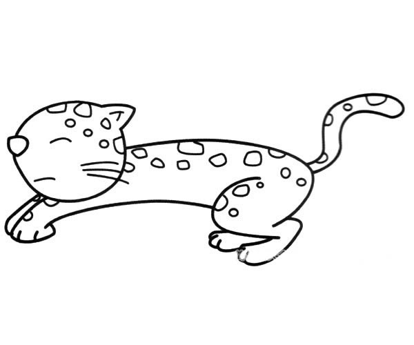 可爱的小花豹简笔画