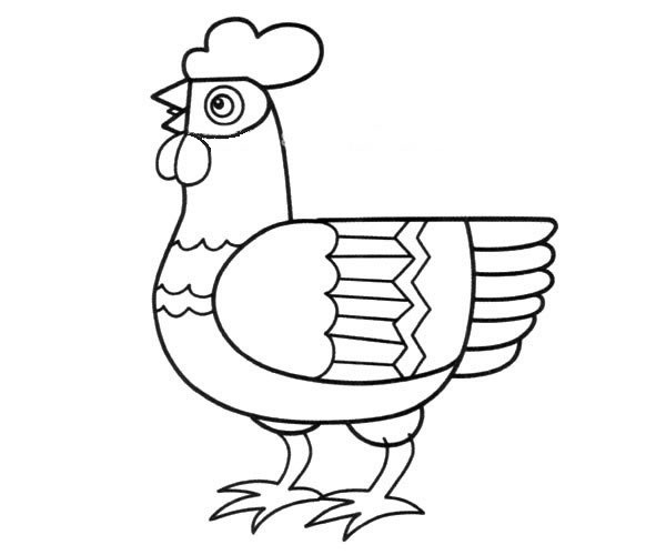 漂亮的大公鸡简笔画