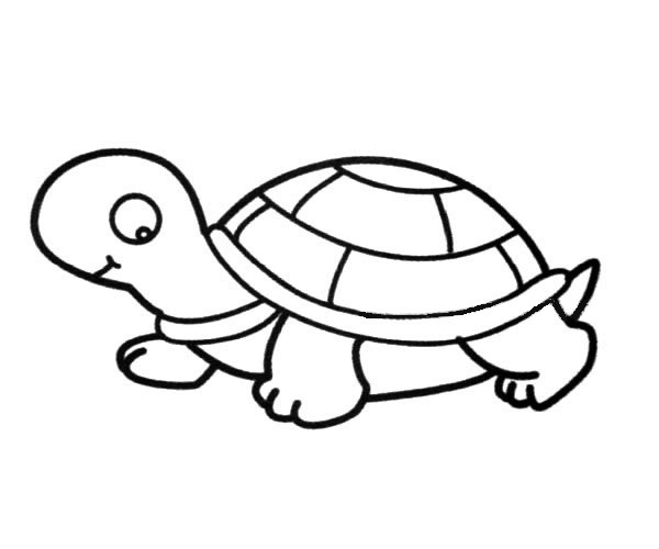 可爱的小乌龟简笔画