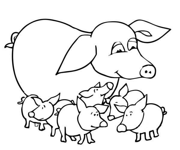猪妈妈和一群猪宝宝简笔画