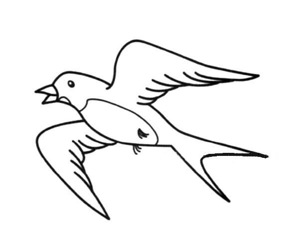 尾巴似剪刀的燕子简笔画