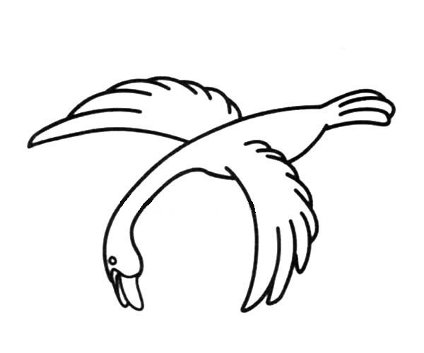 向下俯冲的大雁简笔画