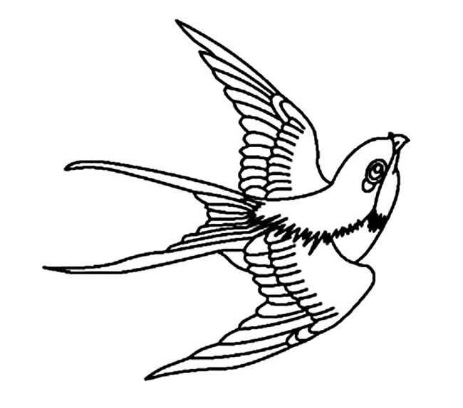 4款关于小燕子的简笔画