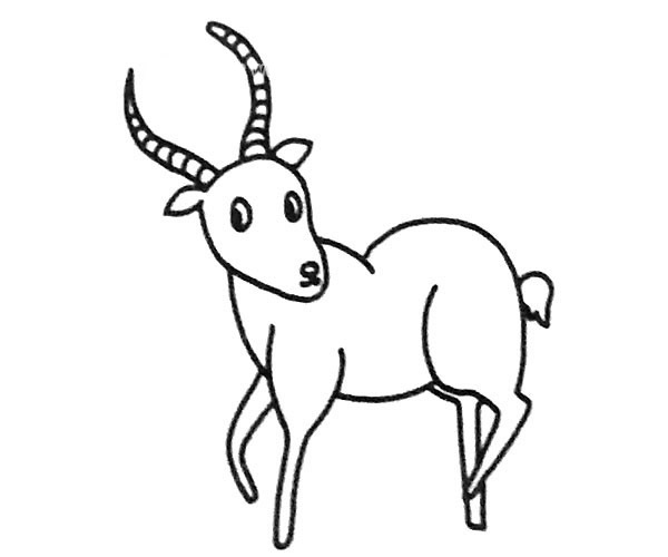 羚羊怎么画比较简单