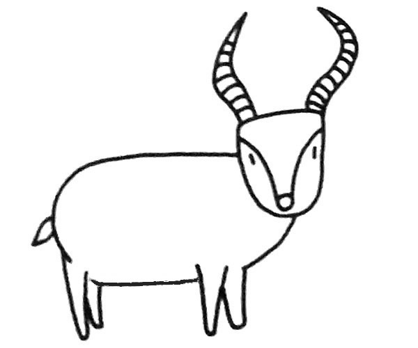 关于羚羊的儿童简笔画
