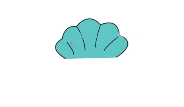 彩色的珍珠贝壳简笔画步骤