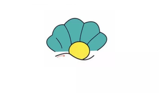 彩色的珍珠贝壳简笔画步骤