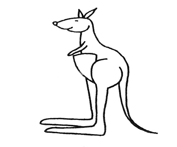 6款卡通袋鼠简笔画大全