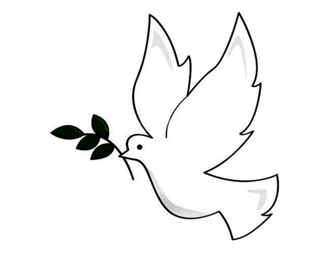 简单好看的和平鸽简笔画