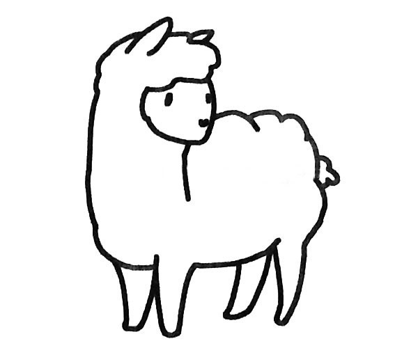 4款可爱的羊驼简笔画大全