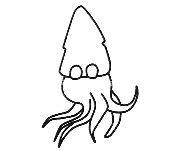 教你画一只简单的鱿鱼
