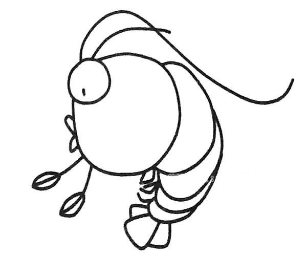 6款卡通大虾简笔画