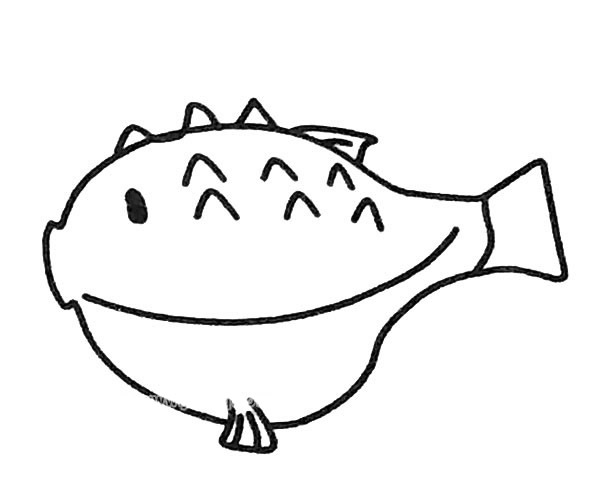 6款可爱的河豚简笔画大全