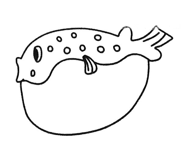 6款可爱的河豚简笔画大全