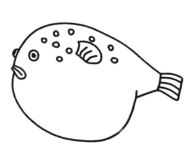 6款可爱的河豚简笔画大全