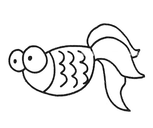 6款卡通金鱼简笔画大全 6款卡通金鱼简笔画大全