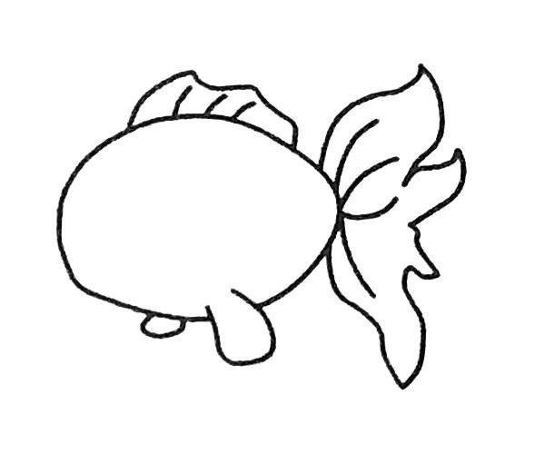 儿童学画金鱼简笔画步骤