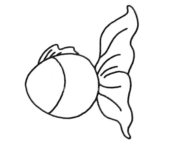 一步步教你画简单的孔雀鱼 一步步教你画简单的孔雀鱼