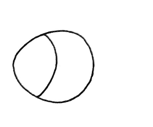 一步步教你画简单的孔雀鱼 一步步教你画简单的孔雀鱼