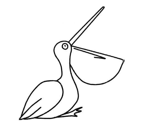 一看就会的鹈鹕简笔画