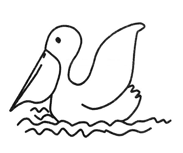 鹈鹕怎么画比较简单