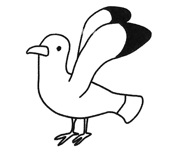 儿童学画海鸥简笔画步骤教程