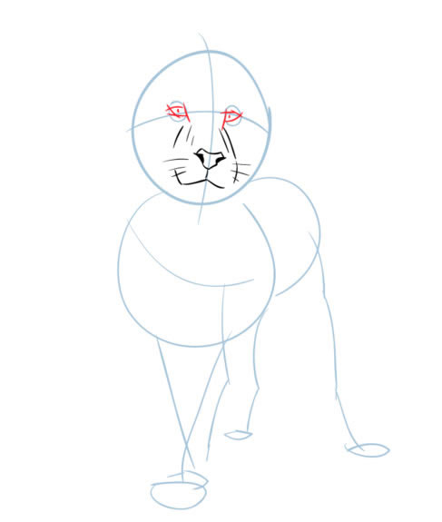 生动霸气的狮子简笔画教程 生动霸气的狮子简笔画教程