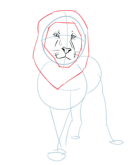 生动霸气的狮子简笔画教程 生动霸气的狮子简笔画教程
