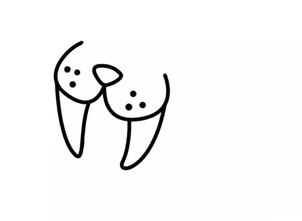 开心的海象卡通简笔画