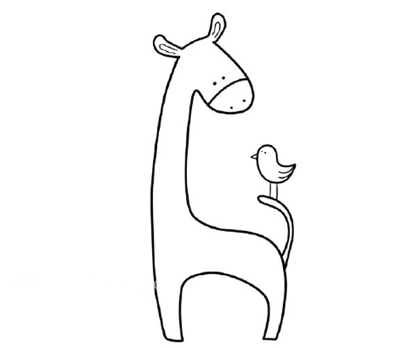 草地上的长颈鹿简笔画步骤