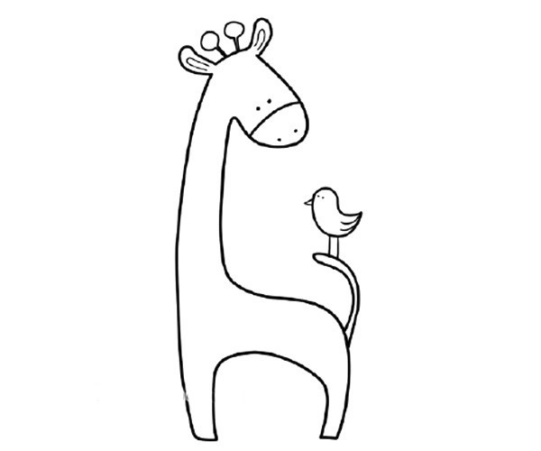 草地上的长颈鹿简笔画步骤