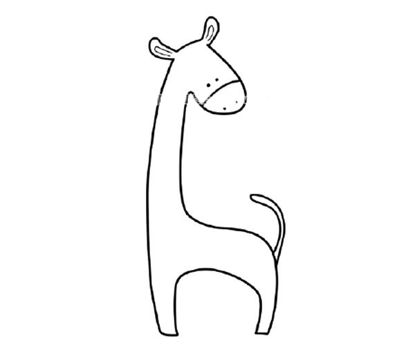 草地上的长颈鹿简笔画步骤