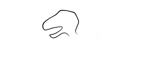 涂色的霸王龙简笔画步骤教程