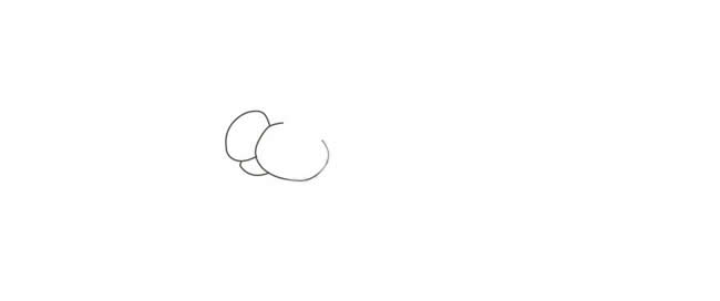 头顶球的海豹简笔画教程带涂色