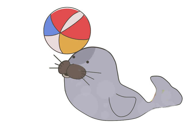 头顶球的海豹简笔画教程带涂色