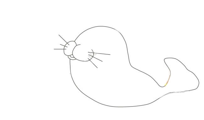 头顶球的海豹简笔画教程带涂色