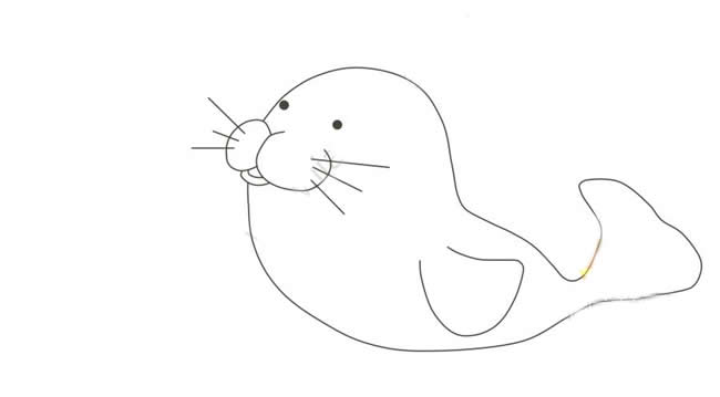 头顶球的海豹简笔画教程带涂色