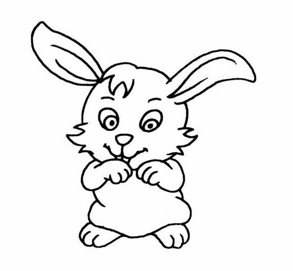 分享几张小白兔的简笔画