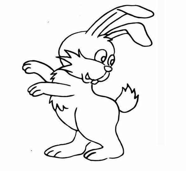 分享几张小白兔的简笔画