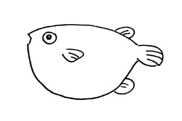 儿童学画河豚简笔画