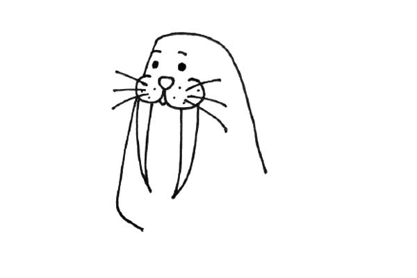 戴着帽子的海象简笔画教程