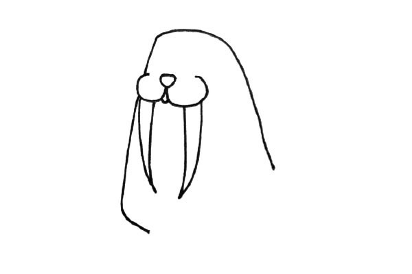 戴着帽子的海象简笔画教程