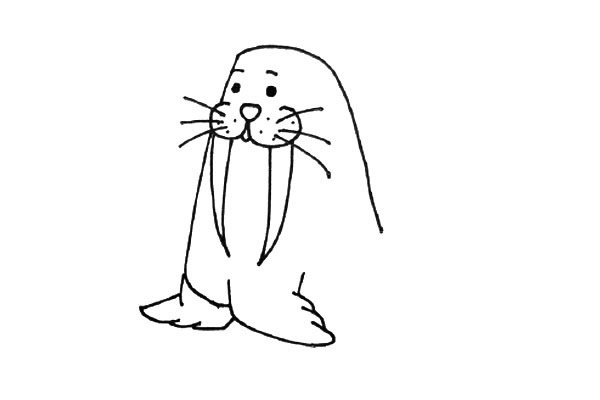 戴着帽子的海象简笔画教程