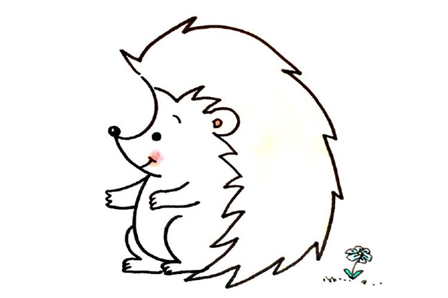 可爱的刺猬简笔画步骤教程 可爱的刺猬简笔画步骤教程