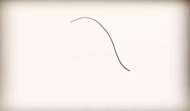 跳出水面的可爱海豚简笔画